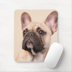 Mousepad Crie sua própria foto personalizada de animal de e