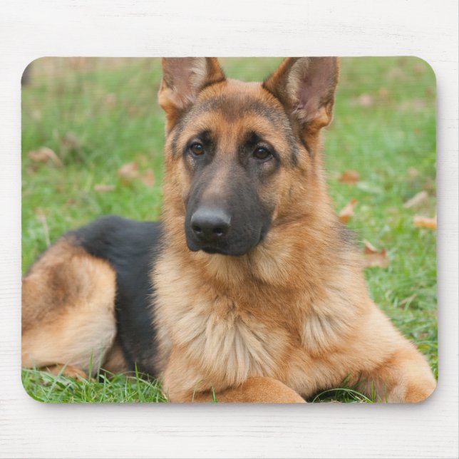 Mousepad Crie Sua Própria Foto Personalizada de Animal de E (Frente)