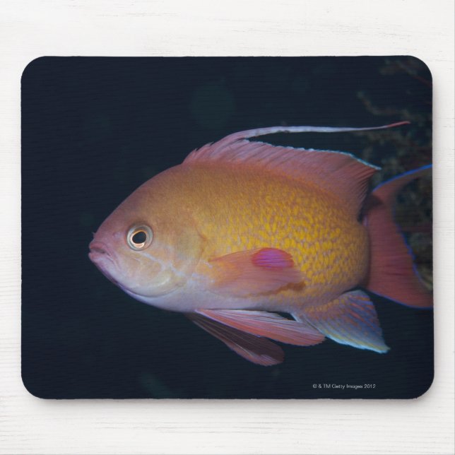 Mousepad Crimson Seabream (Frente)