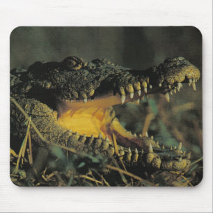Mousepad Croc com fome