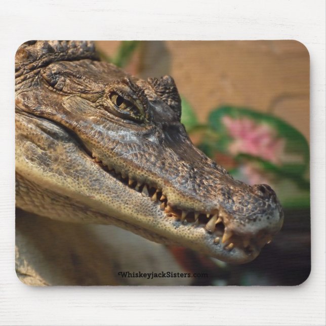 Mousepad Crocodilo (Frente)