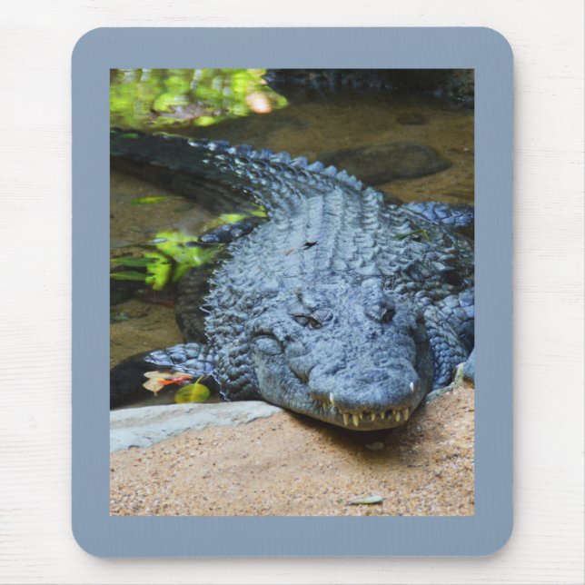 Mousepad Crocodilo (Frente)