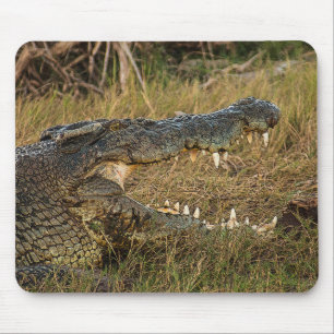 Mousepad Crocodilo