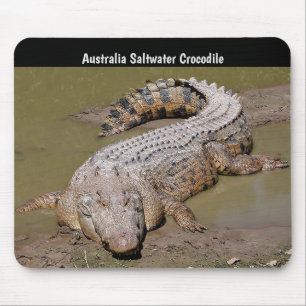Mousepad Crocodilo da água salgada de Austrália