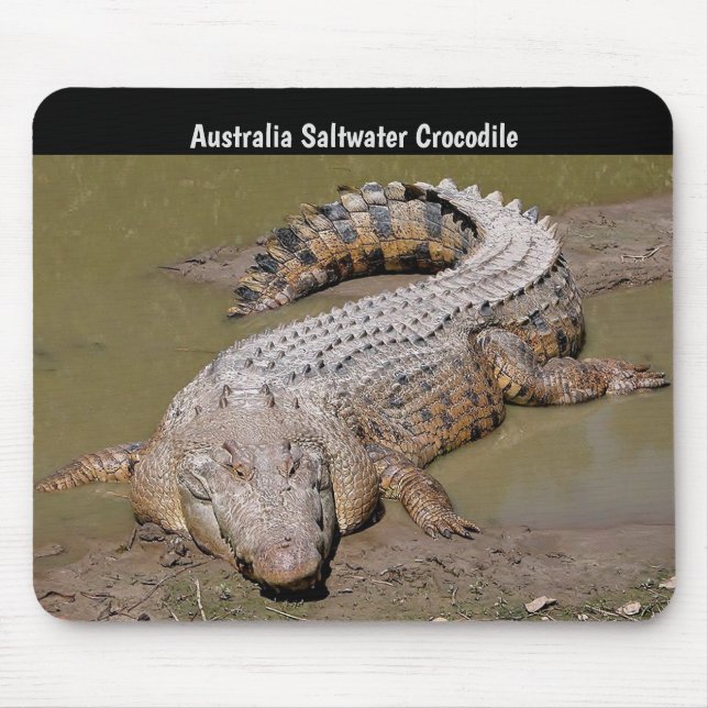 Mousepad Crocodilo da água salgada de Austrália (Frente)