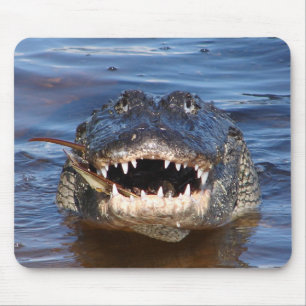 Mousepad Crocodilo de sorriso