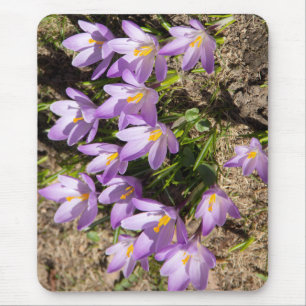 Mousepad Crocodilos primavera bonitos