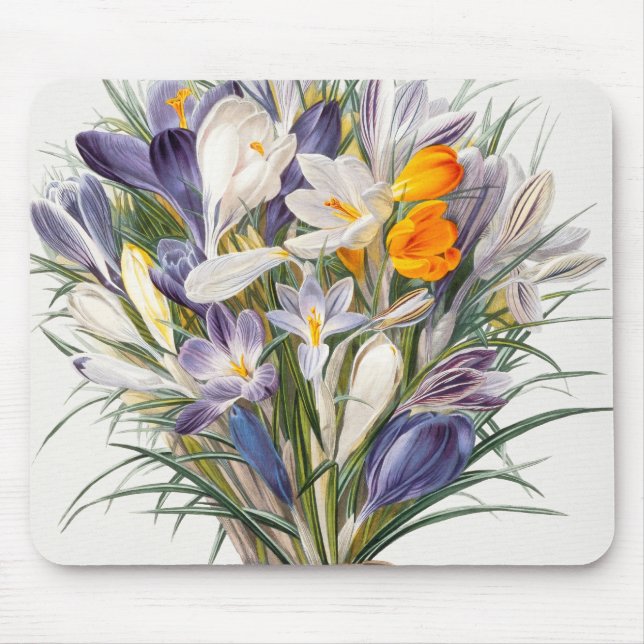 Mousepad Crocus Primavera Fllower Arte Botânica (Frente)