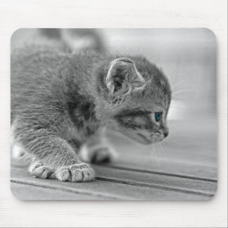 Mousepad Crouching Kitten