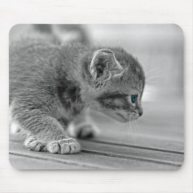 Mousepad Crouching Kitten (Frente)