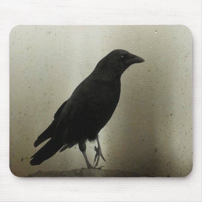 Mousepad Crow e Um Talon (Frente)