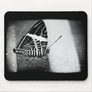 Mousepad cruzamento de borboleta