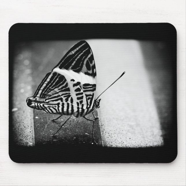 Mousepad cruzamento de borboleta (Frente)