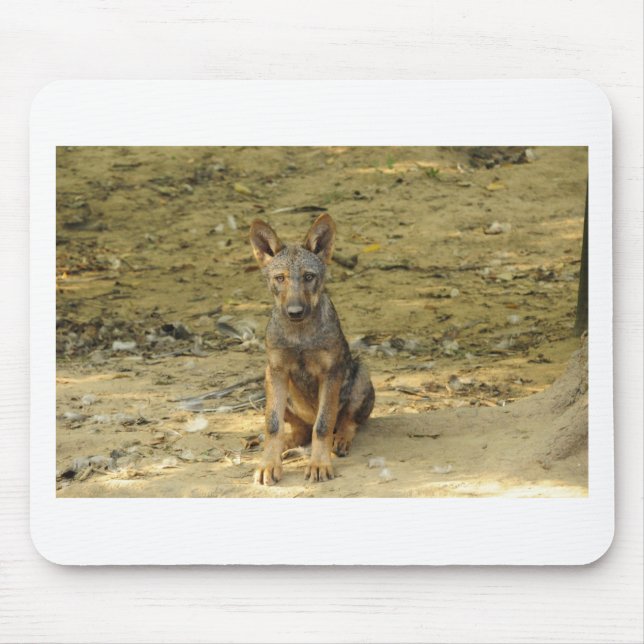 Mousepad Cub do Lobo Bonito (Frente)