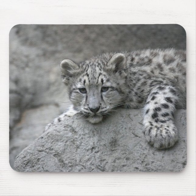 Mousepad Cubo-leopardo-da-neve de 4 meses enfiado sobre uma (Frente)