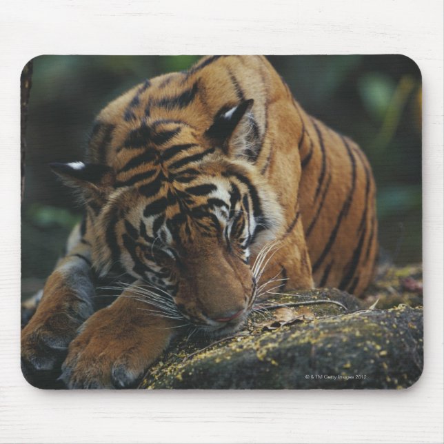 Mousepad Cubo Tigre Dorme no Rock (Frente)