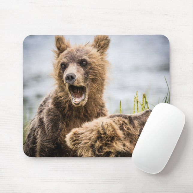 Mousepad Cubos Grizzly Procurando Sua Mãe (Com mouse)