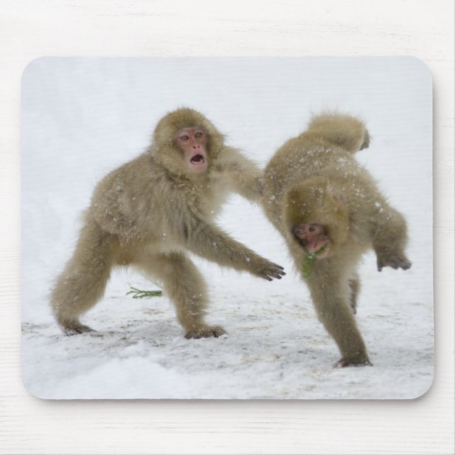 Mousepad Cubos japoneses de macaco-neve tocando neve (Frente)
