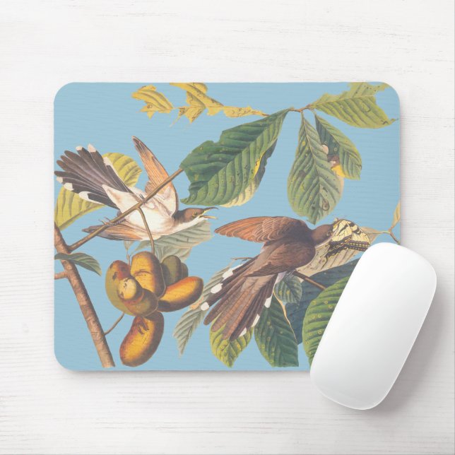 Mousepad Cuco Cobrado Amarelo Audubon (Com mouse)