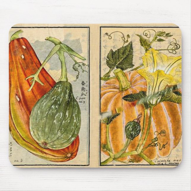 Mousepad Cucurbita Pepo - Vintage Art de Seikei Zusetsu (Frente)