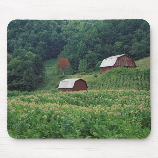 Mousepad Cultura de tabaco e par de celeiros de tabaco verm (Frente)