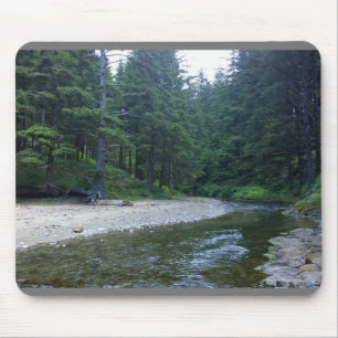 Mousepad Cummins Creek no Parque Estadual de Netuno, OR