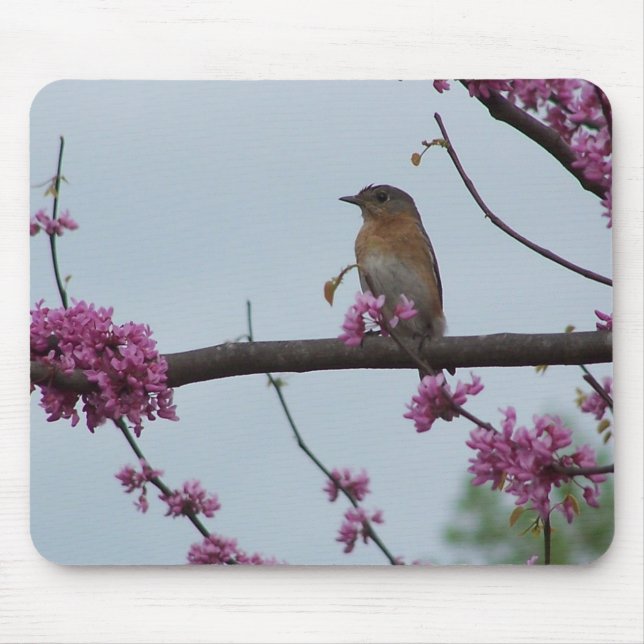 Mousepad Cumprimentos da primavera (Frente)