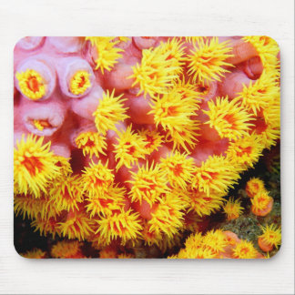 Mousepad cupcoral