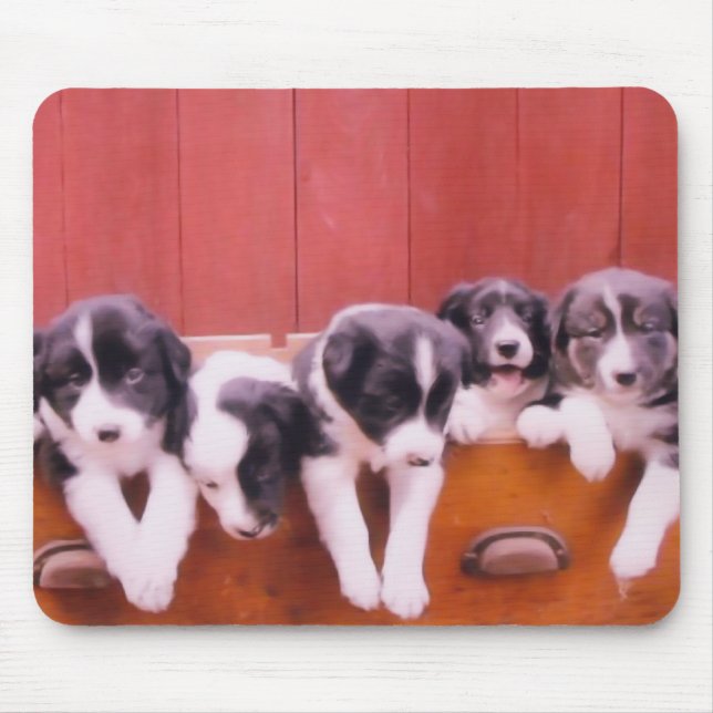 Mousepad Cuppies de Collie de Borda Corta (Frente)