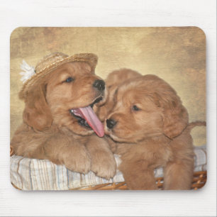 Mousepad Cuppies de ouro na cesta