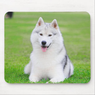 Mousepad Cuppy branco siberiano com erva verde