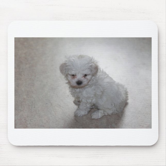 Mousepad Cuppy Maltês (9 Meses De Idade) (Frente)