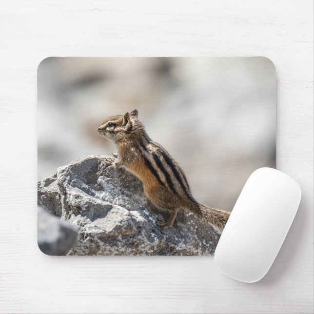 Mousepad Curioso Chipmunk - Fotografia canadense sobre faun (Com mouse)