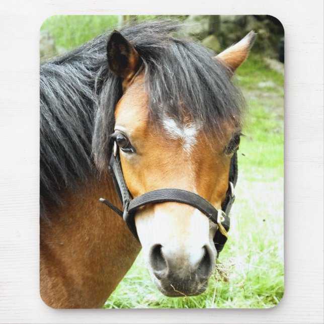 MOUSEPAD CUTE BROWN PONY (Frente)