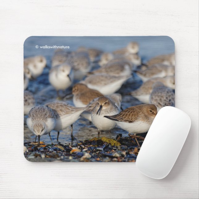 Mousepad Cute Dunlins Sanderlings Sandpipers em Praia (Com mouse)