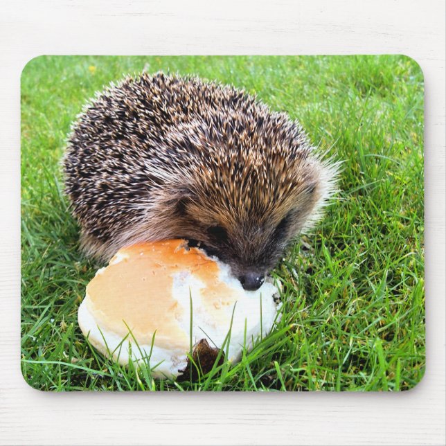MOUSEPAD CUTE HEDGEHOG (Frente)