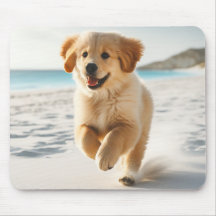 Cute Labrador Puppy Running on Beach