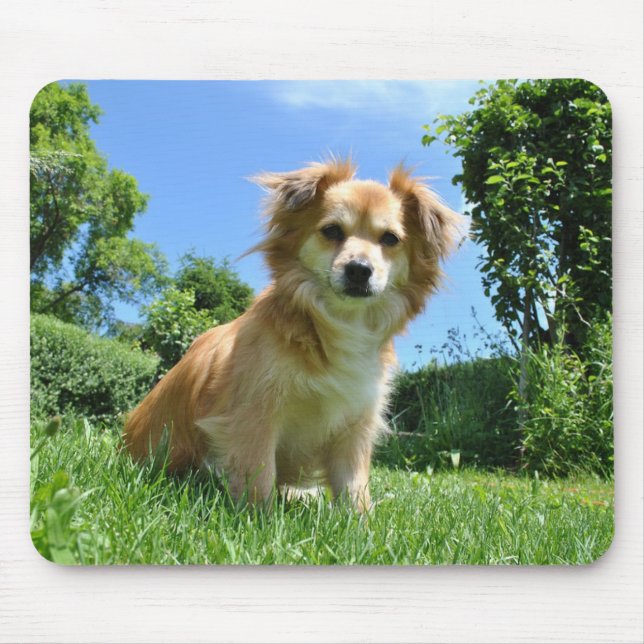 Mousepad Cute Puppy in Garden (Frente)