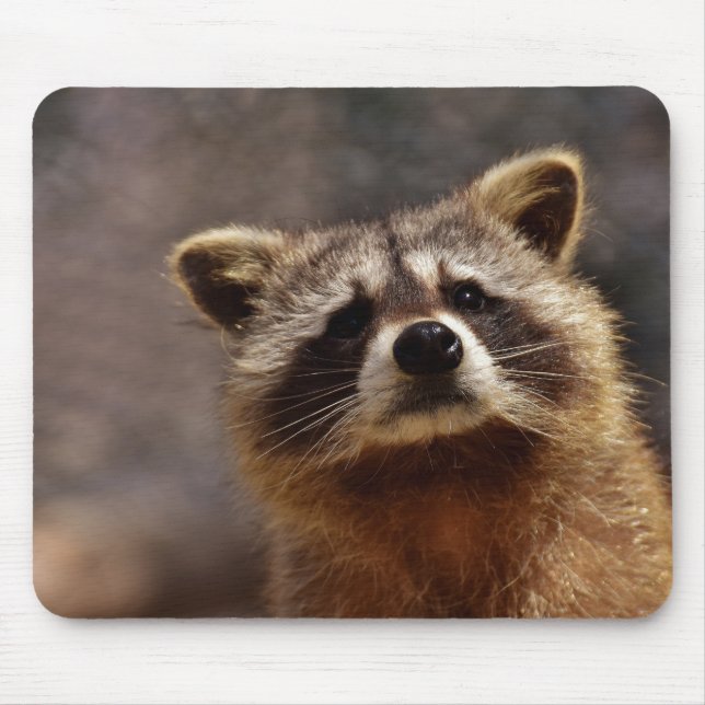 Mousepad Cute Racoon (Frente)