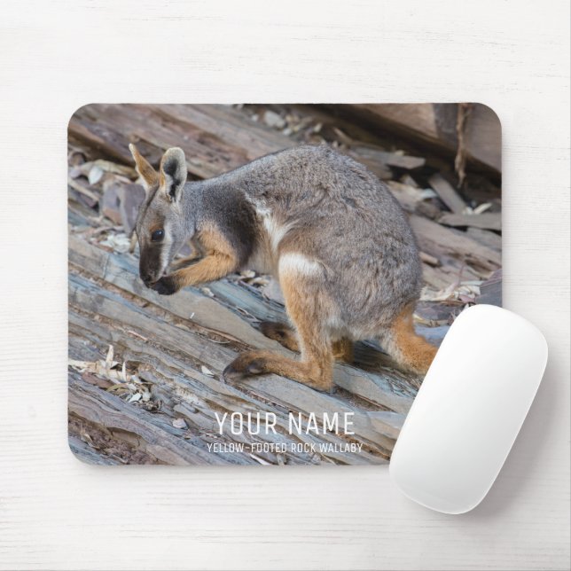 Mousepad Cute Rock Wallaby Animal Willife Austrália (Com mouse)