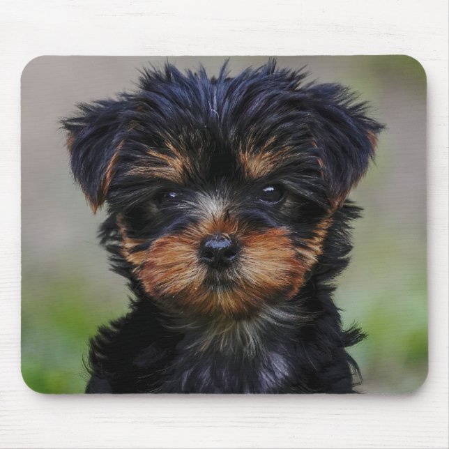 Mousepad Cute Yorkie Puppy (Frente)
