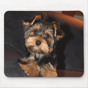 Mousepad Cute Yorkshire Terrier Puppy