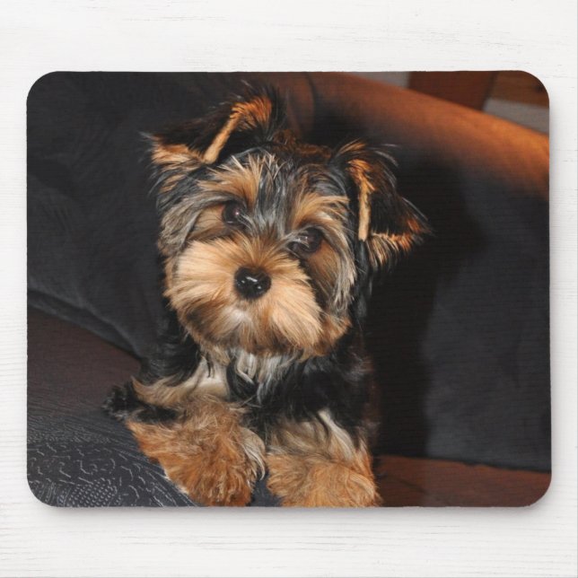 Mousepad Cute Yorkshire Terrier Puppy (Frente)
