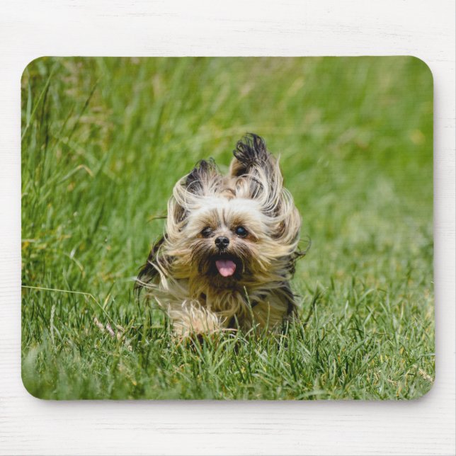 Mousepad Cute Yorkshire Terrier Running Through Grass (Frente)