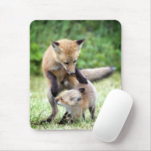 Mousepad Cutest Baby Animals   Adorable Fox Kit & Mama