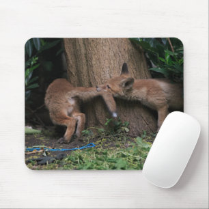 Mousepad Cutest Baby Animals   Baby Foxes Playing