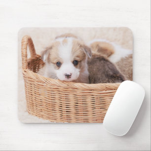 Mousepad Cutest Baby Animals Corgi Tiny Puppy
