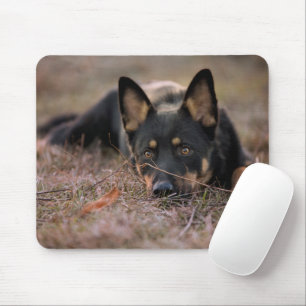 Mousepad Cutest Baby Animals German Shepherd Puppy