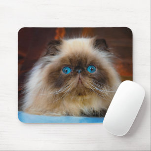 Mousepad Cutest Baby Animals   Himalayan Cat