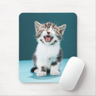 Mousepad Cutest Baby Animals   Meowing Baby Kitten